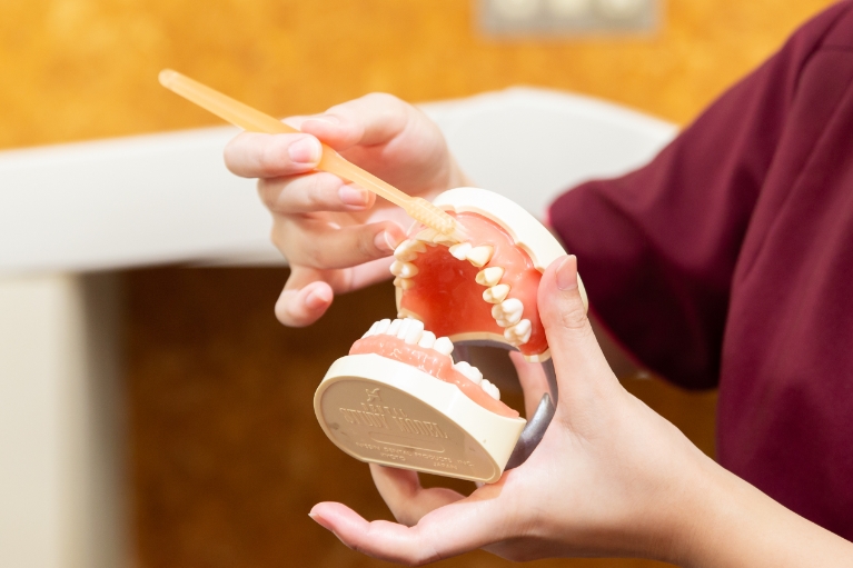 むし歯は歯科医院で、予防できます！