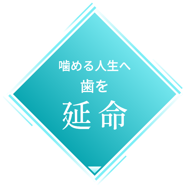 噛める人生へ歯を延命